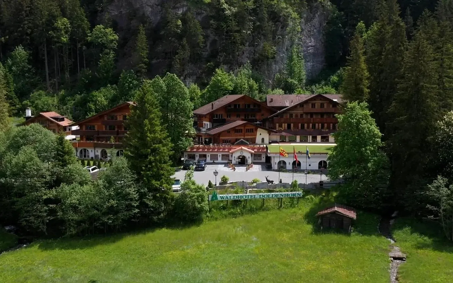 Das Waldhotel Doldenhorn hinter der Wiese, dahinter Wald und Fels